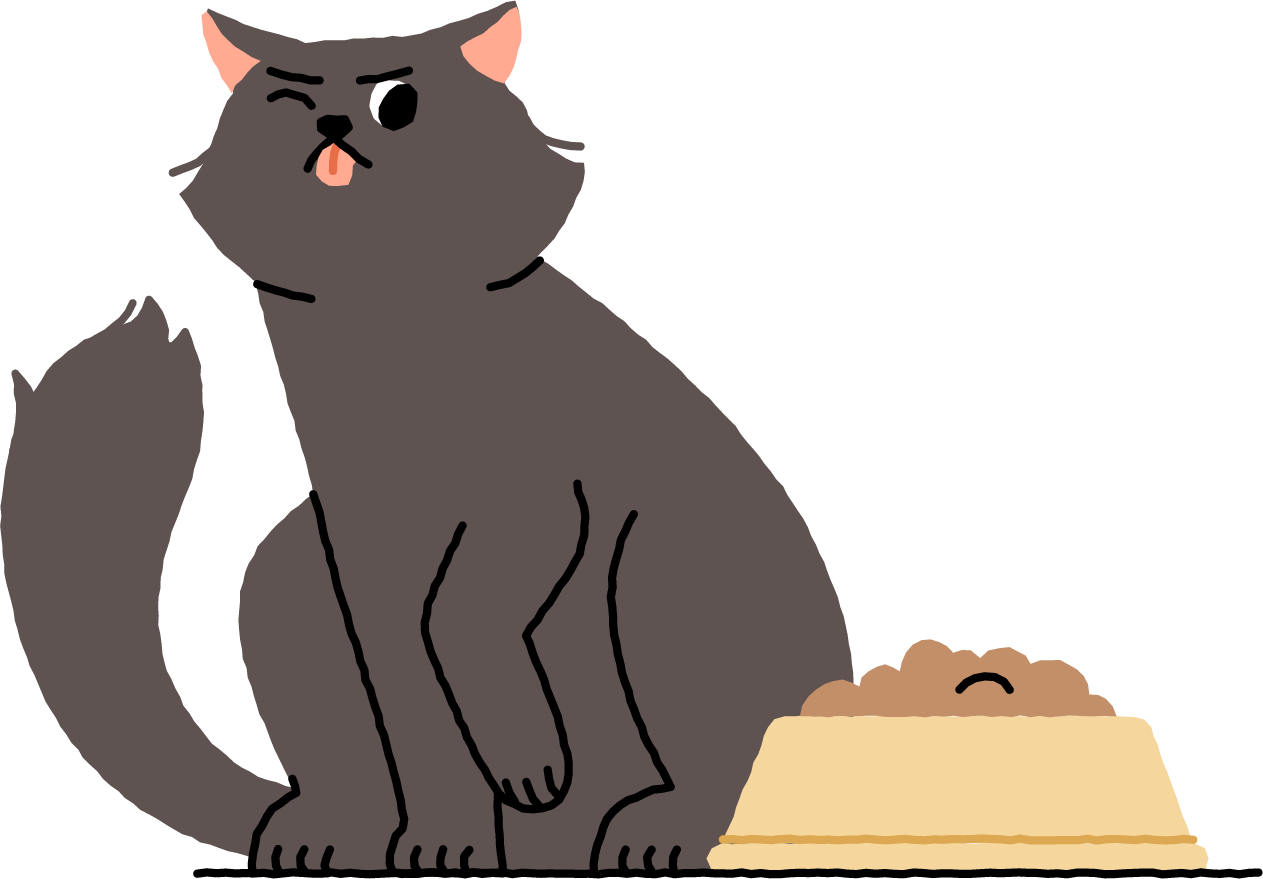 Gray cat Yellow food