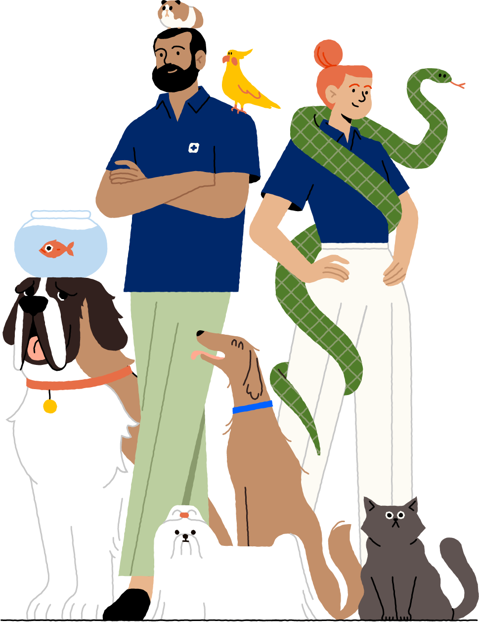 Illustration Vet Army 2