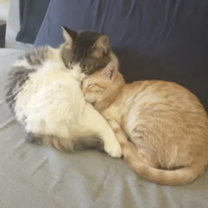 Ricky with Jess and Elgar