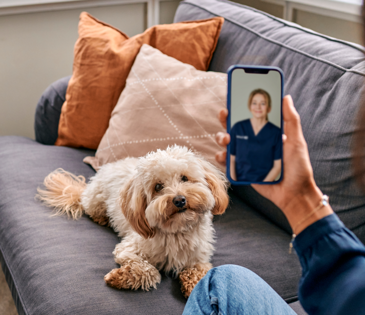 Rafael forseck rwb Sr Jf6 I9k unsplash 1