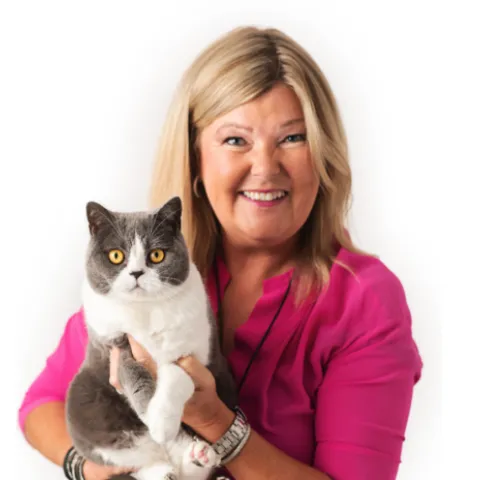 Skärmavbild 2019 12 20 kl 15 33 15