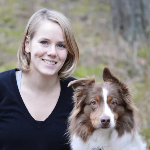 Skärmavbild 2020 02 26 kl 16 13 54