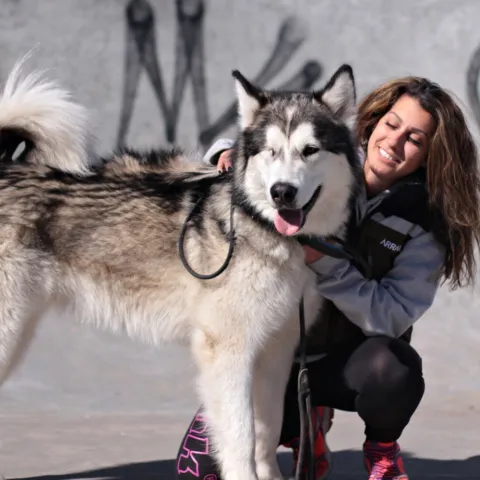 60342551 10156233916472423 4506108012825411584 n