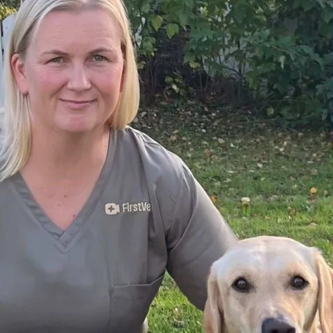 5fd40523 c78b 4419 a350 44fa755f320f